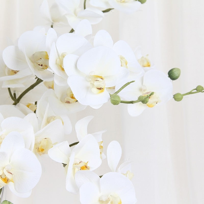Luxury Real Touch Phalaenopsis Orchid Stem | Lifelike Faux Flower Decor