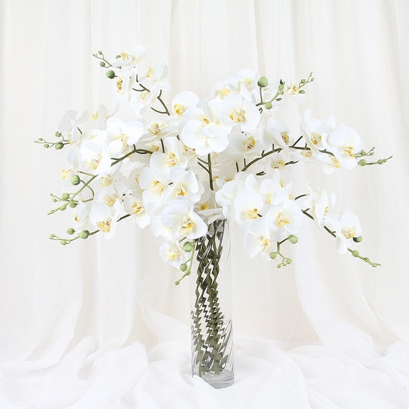 Luxury Real Touch Phalaenopsis Orchid Stem | Lifelike Faux Flower Decor