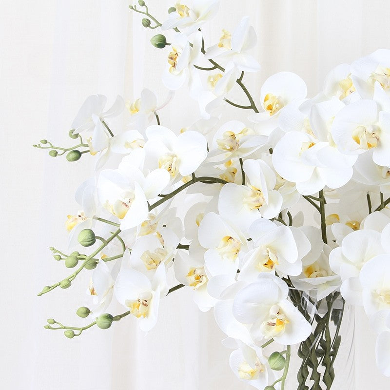 Luxury Real Touch Phalaenopsis Orchid Stem | Lifelike Faux Flower Decor