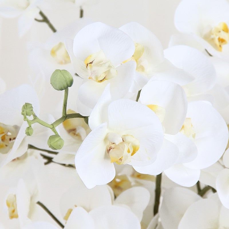 Luxury Real Touch Phalaenopsis Orchid Stem | Lifelike Faux Flower Decor