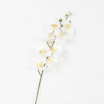 Luxury Real Touch Phalaenopsis Orchid Stem | Lifelike Faux Flower Decor