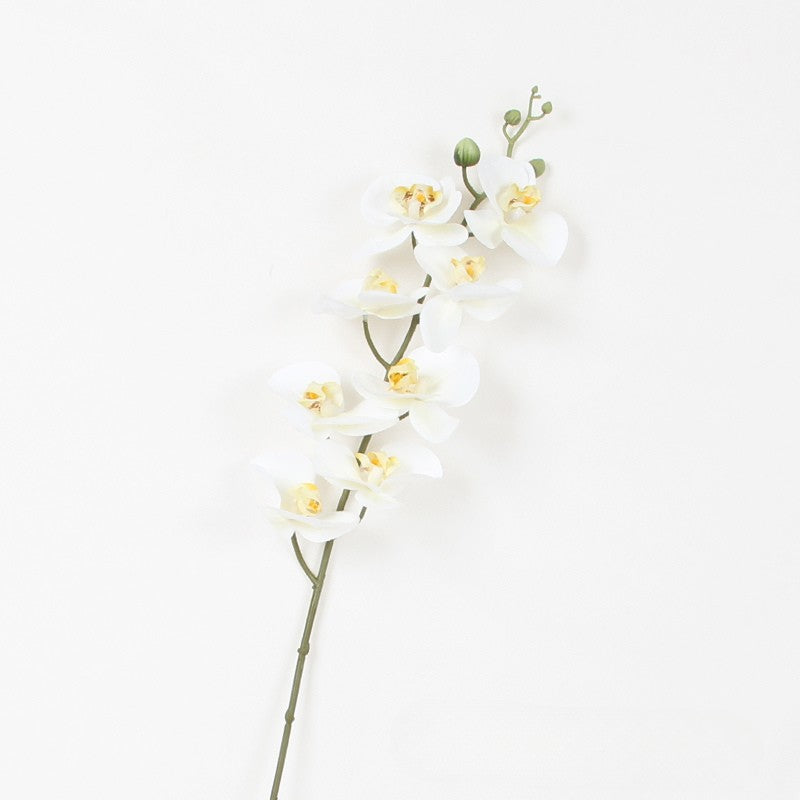 Luxury Real Touch Phalaenopsis Orchid Stem | Lifelike Faux Flower Decor