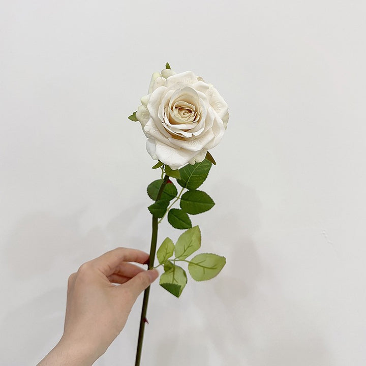 Single cream English rose faux stem with layered reflexed petals and green leaves, held against a white background.