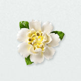 Grande pivoine ondulée – Accent jaune doré sur un mur neutre clair