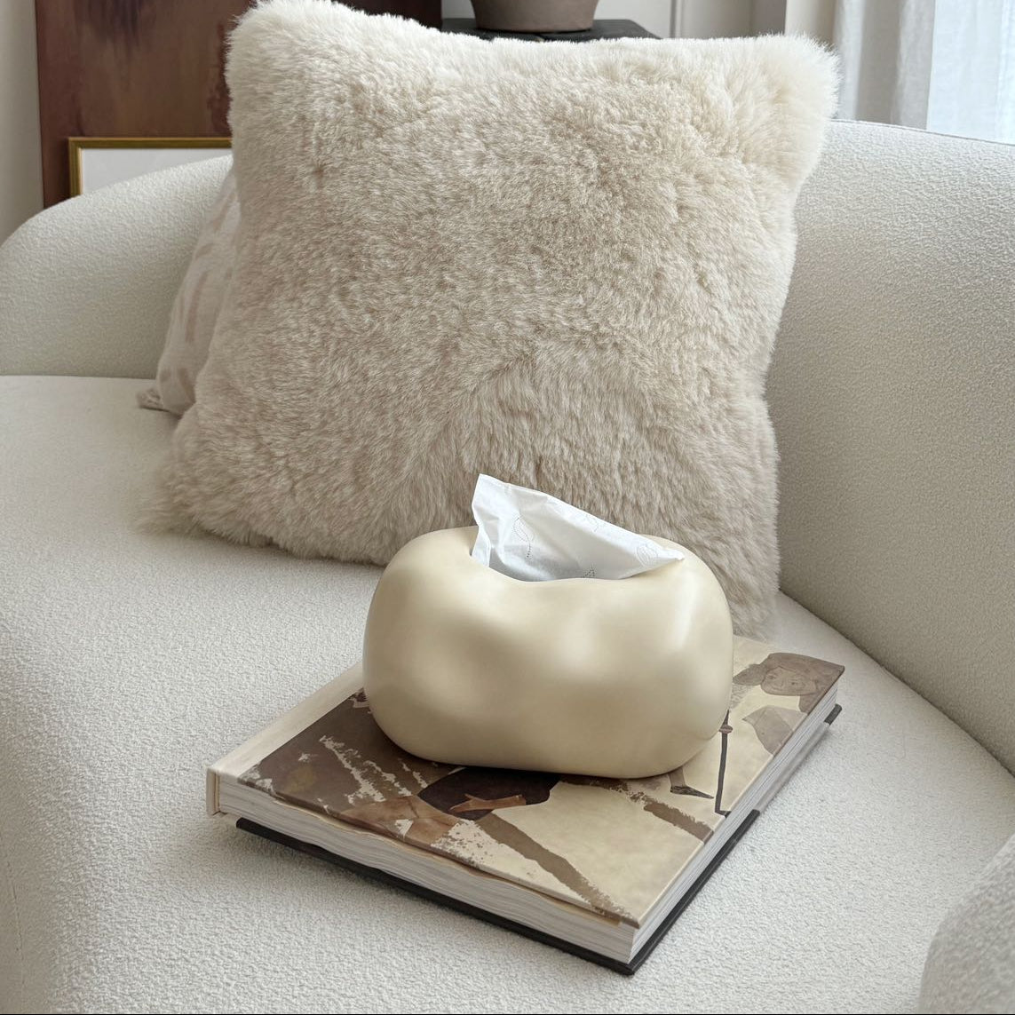 Decorative scene with a fluffy white pillow, tissue holder, and vase on a sofa.
