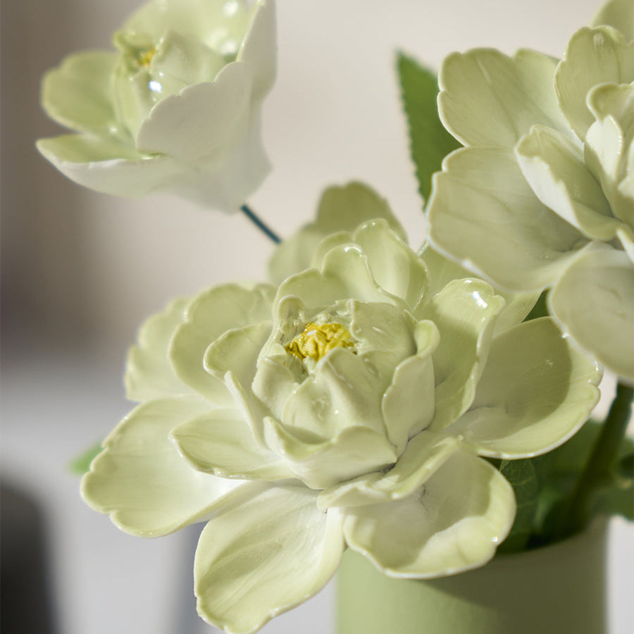 Light green flowers in a vase against a blurred background