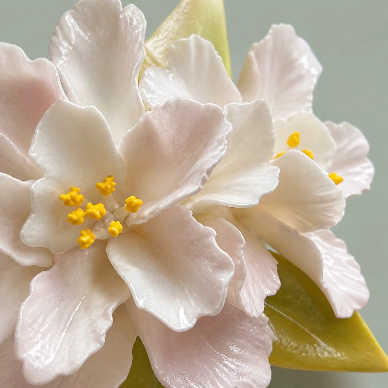 Close-up of ruffled ceramic crabapple petals, raised yellow stamens and a green leaf.