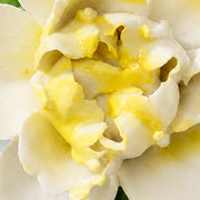 Close view of the golden yellow accent center and glazed petals on Small Ruffled Peony Ceramic Wall Flower.