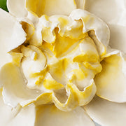 Close view of the golden yellow accent center and glazed petals on Medium Ruffled Peony Ceramic Wall Flower.