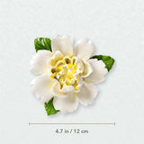 Grande pivoine ondulée – Accent jaune doré, diamètre 4,7 po / 12 cm