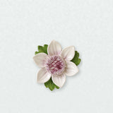 Petite fleur de lotus – Accent violet prune sur un mur neutre clair