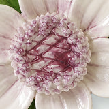 Gros plan sur Accent violet prune et les pétales émaillés – Petite fleur de lotus