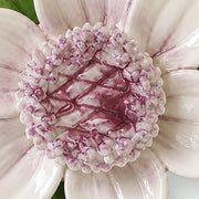 Gros plan sur Accent violet prune et les pétales émaillés – Petite fleur de lotus
