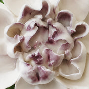 Close view of the plum purple accent center and glazed petals on Medium Ruffled Peony Ceramic Wall Flower.