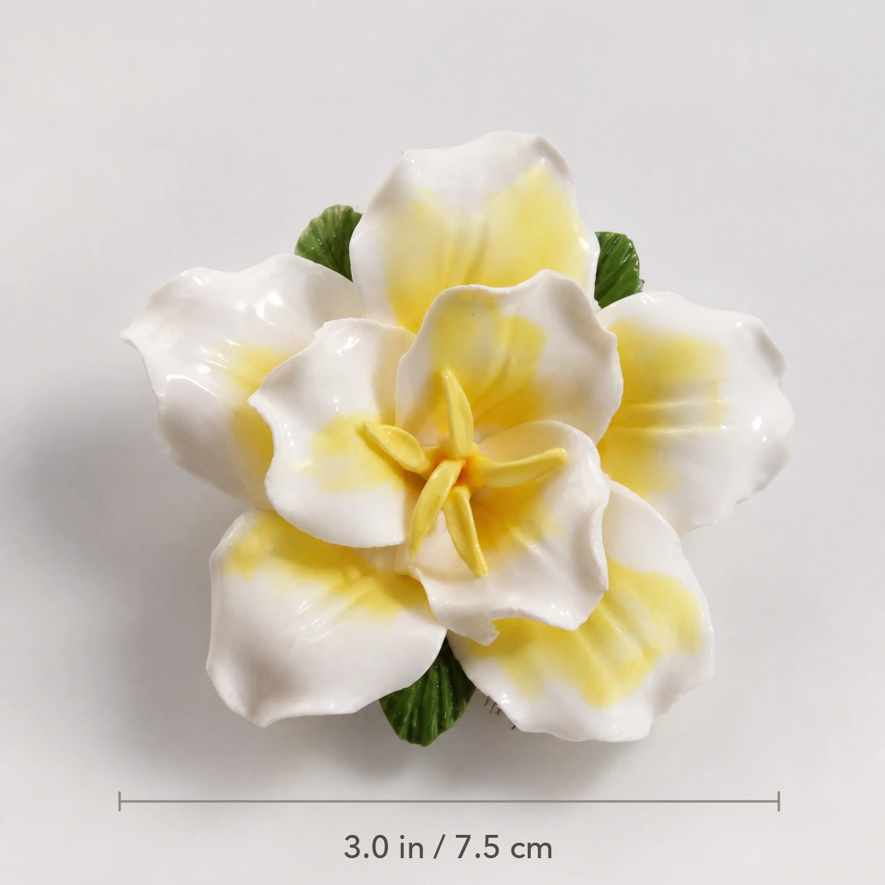 Butter yellow ceramic lily magnet with diameter marked as 3.0 inches or 7.5 centimeters.