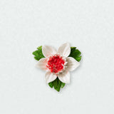 Petite fleur de lotus – Accent rouge rosé sur un mur neutre clair