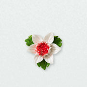 Petite fleur de lotus – Accent rouge rosé sur un mur neutre clair