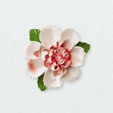 Grande pivoine ondulée – Accent rouge rosé sur un mur neutre clair