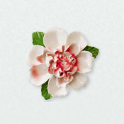 Grande pivoine ondulée – Accent rouge rosé sur un mur neutre clair
