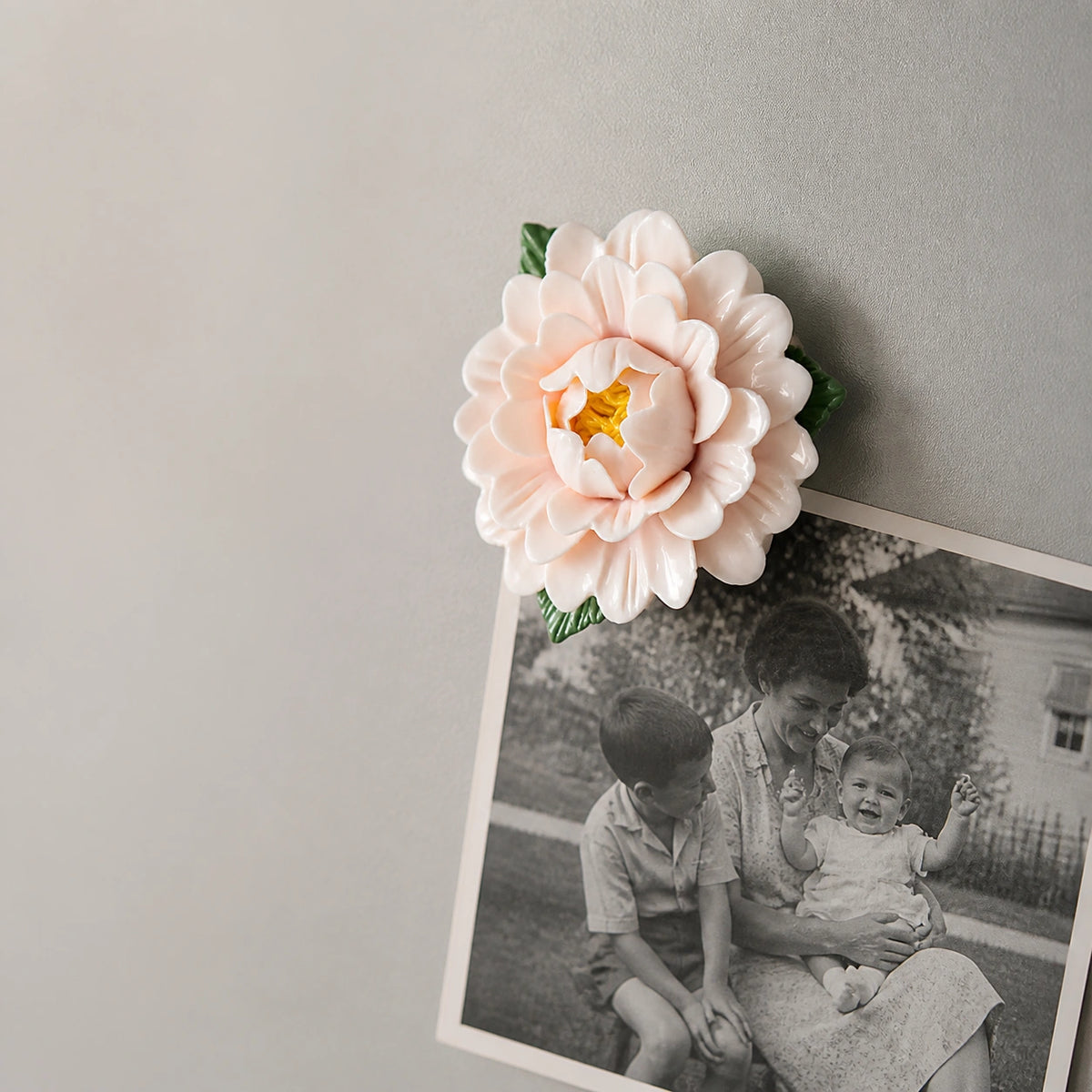 Aimant pivoine en céramique ivoire rosé retenant une ancienne photo de famille en noir et blanc.