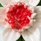 Gros plan sur Accent rouge rosé et les pétales émaillés – Petite fleur de lotus