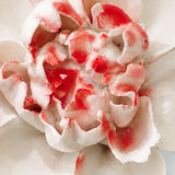 Close view of the rose red accent center and glazed petals on Medium Ruffled Peony Ceramic Wall Flower.