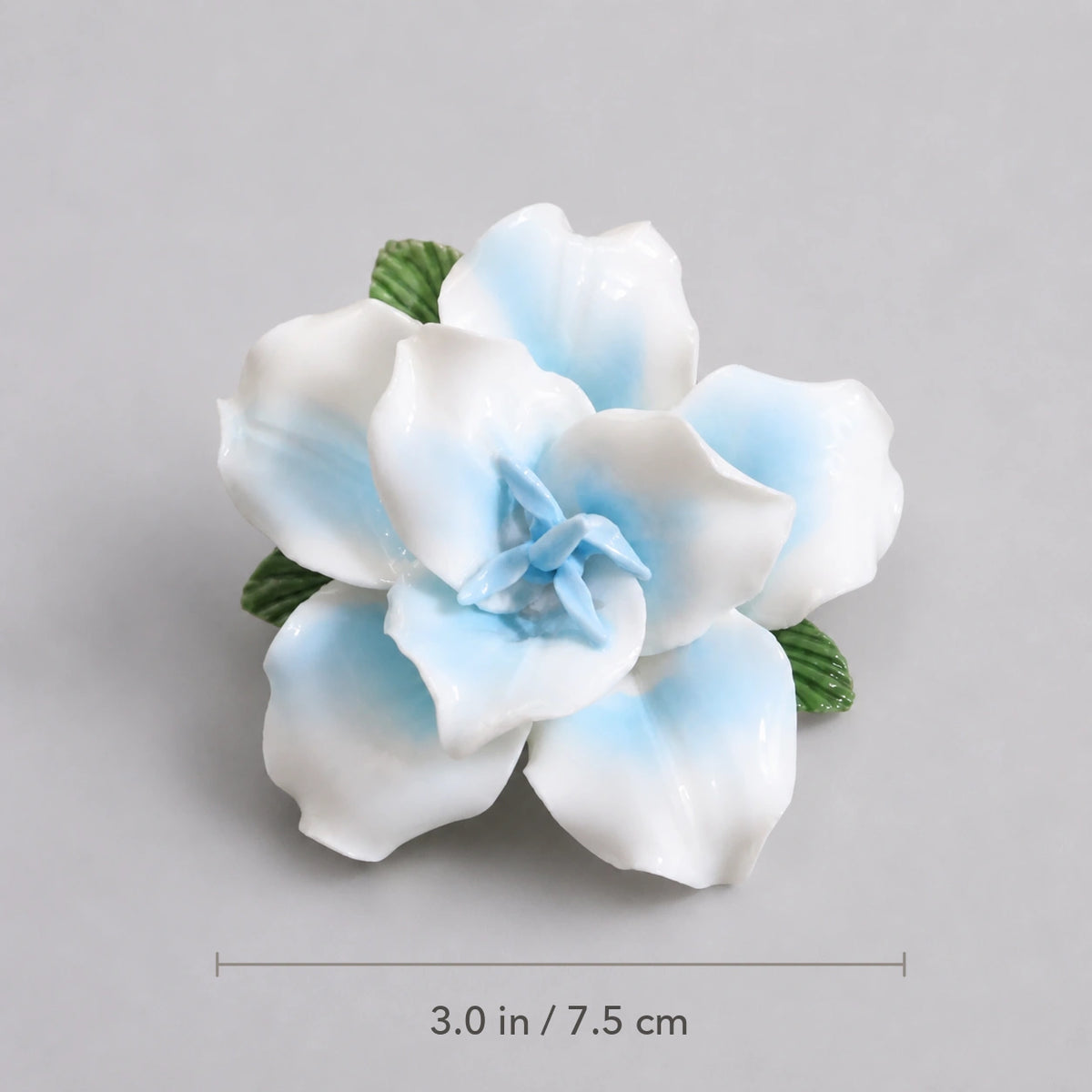 Powder blue ceramic lily magnet with diameter marked as 3.0 inches or 7.5 centimeters.