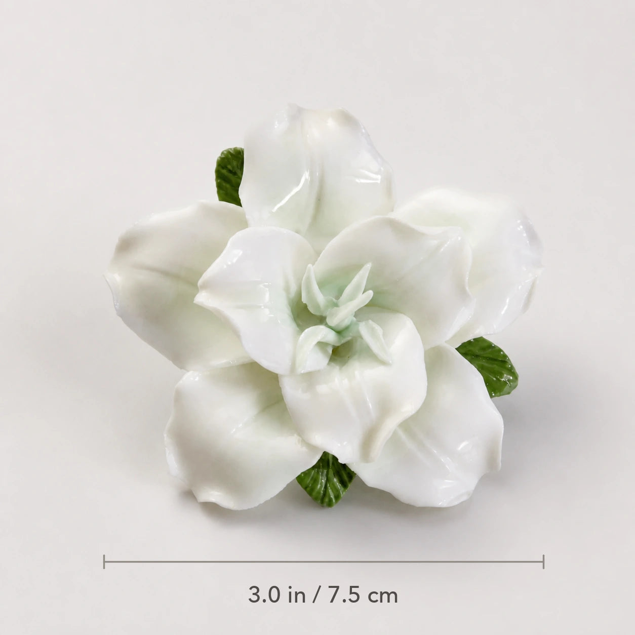 Pale green ceramic lily magnet with diameter marked as 3.0 inches or 7.5 centimeters.