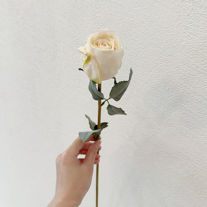 Single ivory faux rose stem with faint tan weathered petal edges and muted green leaves, held against a white wall.