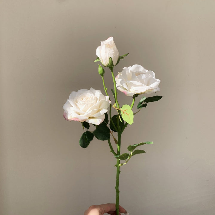 White faux English rose spray with two open blooms, a tall bud, green leaves, and a hand holding the stem