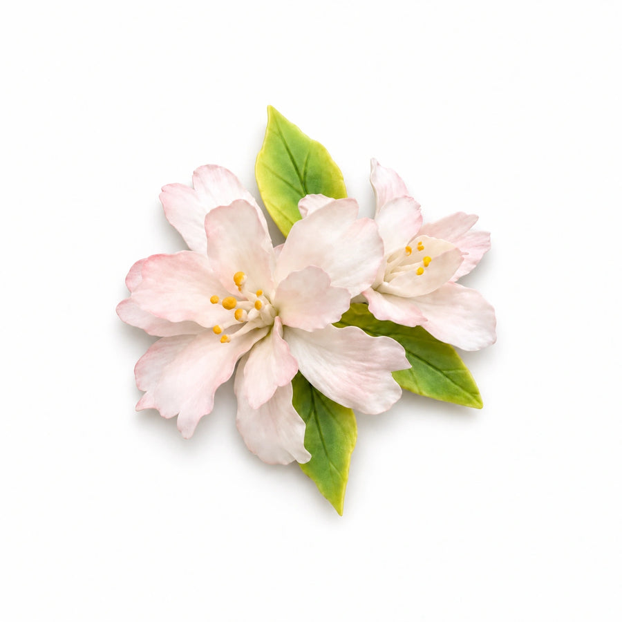 Aimant en céramique avec deux fleurs de pommier blanc rosé reliées, des étamines jaunes et des feuilles vertes sur fond blanc.