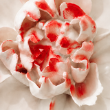 Close frontal view of the rose red center and layered glazed petals of the Medium Ruffled Peony ceramic wall flower.