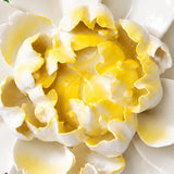 Close frontal view of the golden yellow center and layered glazed petals of the Extra Large Ruffled Peony ceramic wall flower.