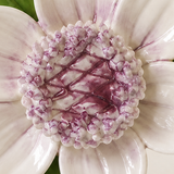 Close frontal view of the plum purple center and layered glazed petals of the Small Lotus Bloom ceramic wall flower.