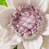 Close frontal view of the plum purple center and layered glazed petals of the Medium Lotus Bloom ceramic wall flower.