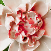 Close frontal view of the rose red center and layered glazed petals of the Large Ruffled Peony ceramic wall flower.