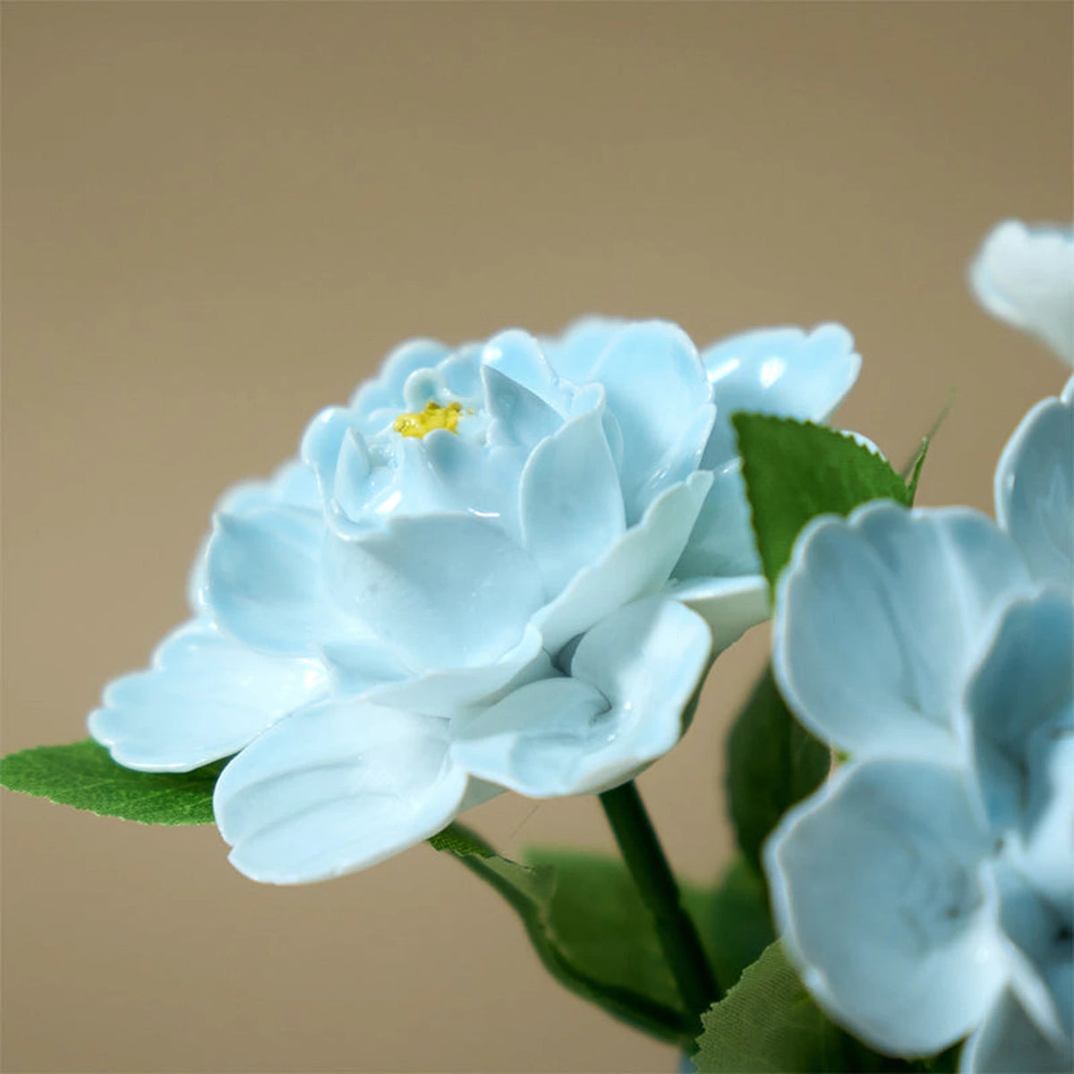 Close view of glossy sky-blue layered porcelain petals, yellow centre and thin green leaves.