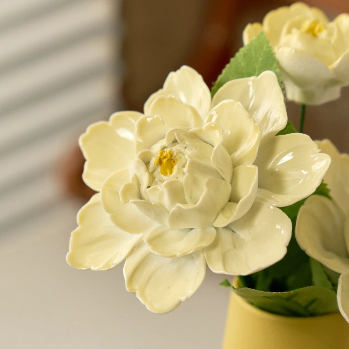 Close view of pale yellow layered porcelain petals, yellow centre and serrated green leaves.
