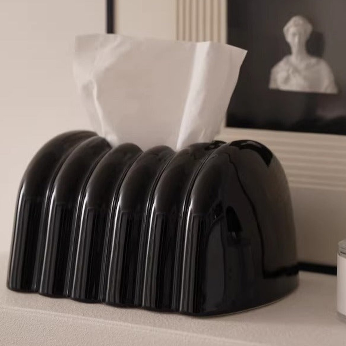 Close view of the glossy black cover’s broad arched ribs, smooth end panel and tissue outlet.